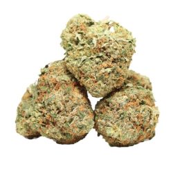 Gorilla Glue Strain