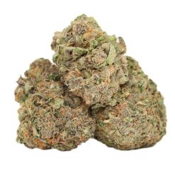 Atomic Blueberry AAAA+ Indica