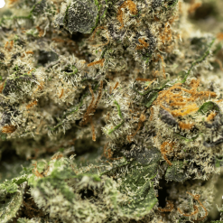 Alternative view of Blueberry Muffin