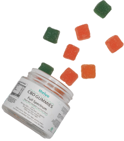 Alternative view of Full Spectrum Vegan CBD Gummies