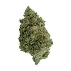 Cherry Pie