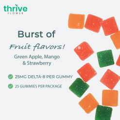 Alternative view of Delta 8 THC Gummies