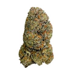Afghan Skunk