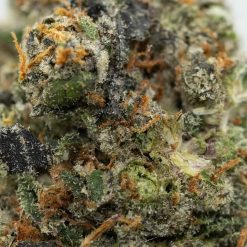 Alternative view of Gelato Pie Stomper