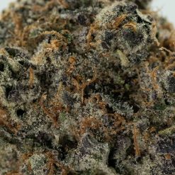 Alternative view of Grape Gas