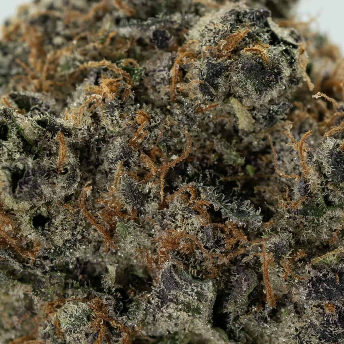 Grape Gas - Image 2