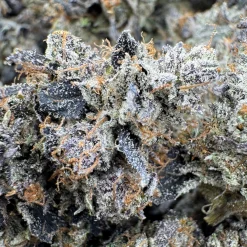 Alternative view of LSO Death Bubba