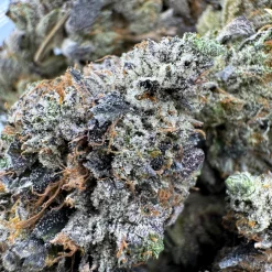 Alternative view of LSO Pink Death Bubba