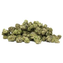 AAA+ Popcorn Buds – Miracle Alien Cookies