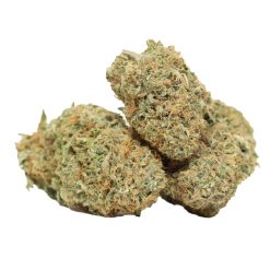 Mimosa kush