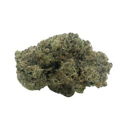 Miracle Alien Cookies (AAAA)
