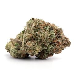 Jack Herer Strain