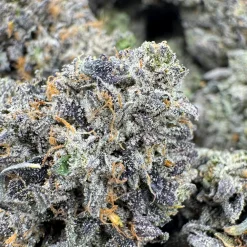 Alternative view of LSO Pink Kush