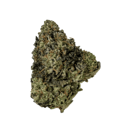 King Louis XIII